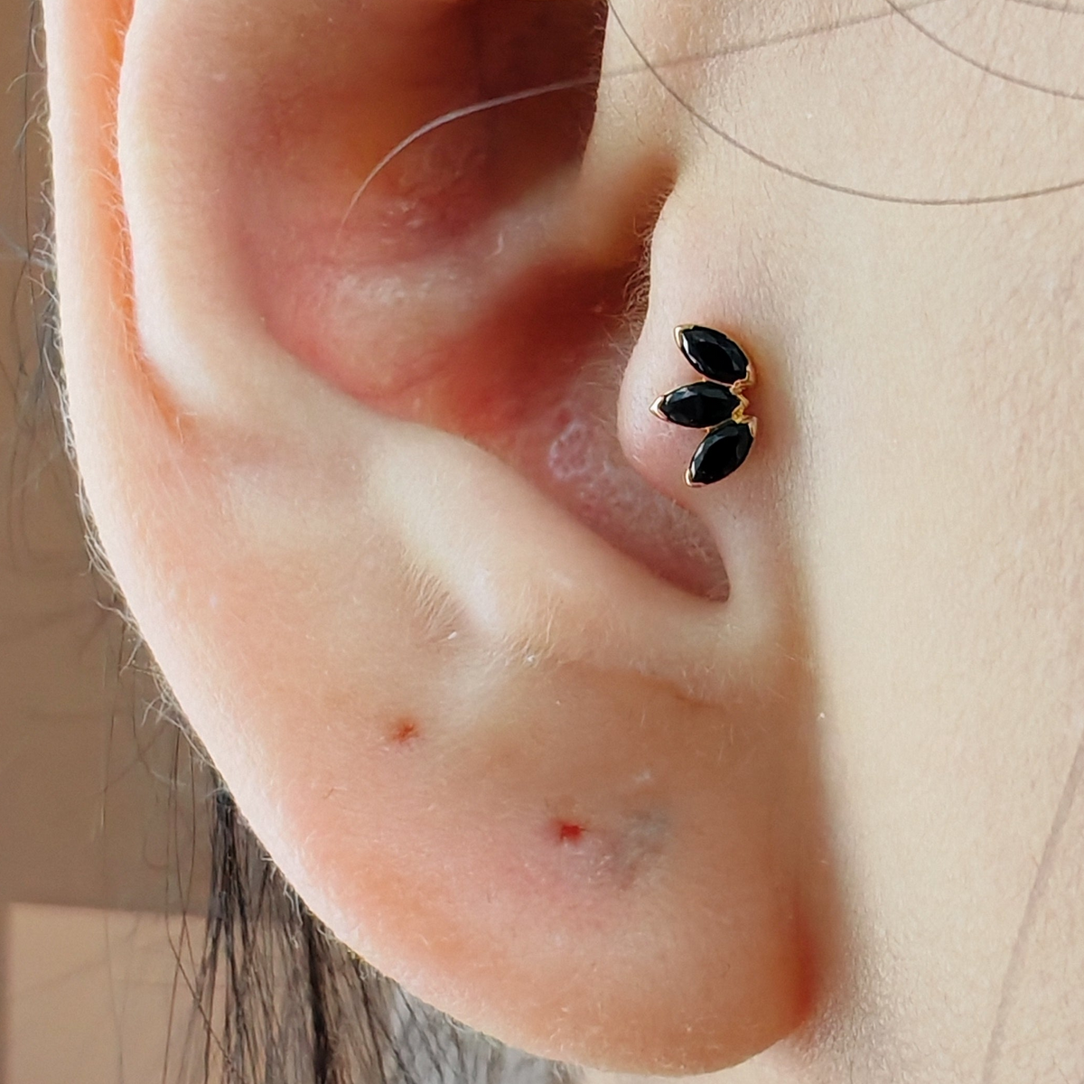 Tragus Piercing